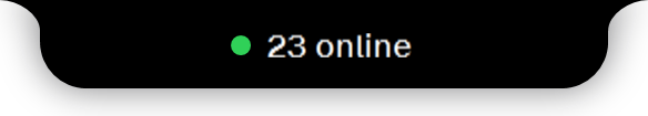 The resting notch showing 23 people online on your website.